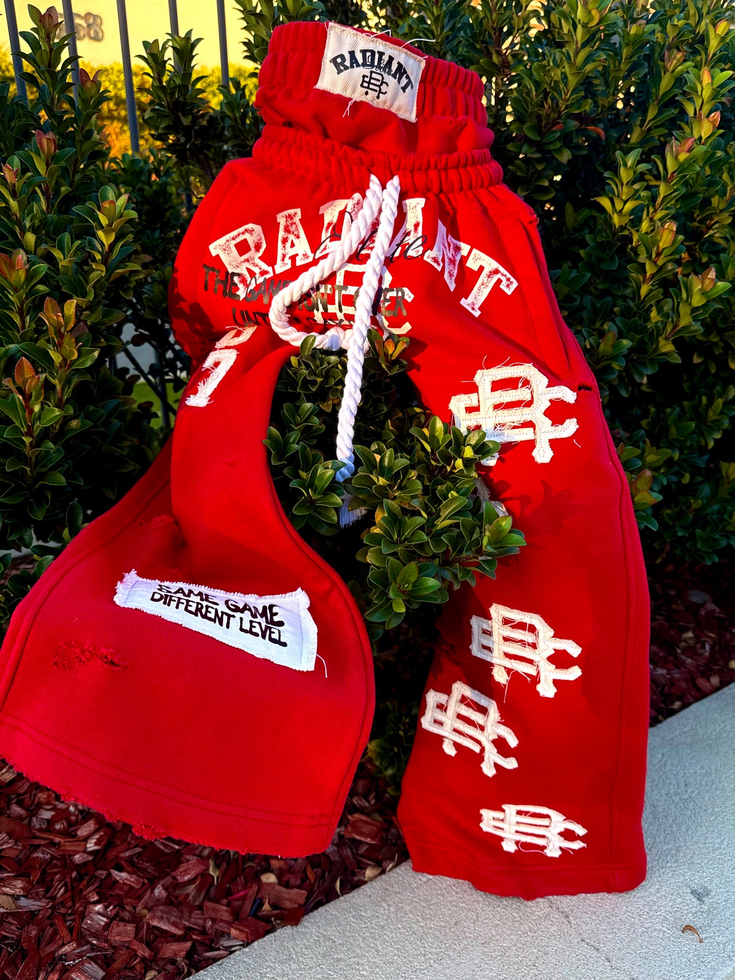 Radiant Game Crop Hoodie Red Heat Set